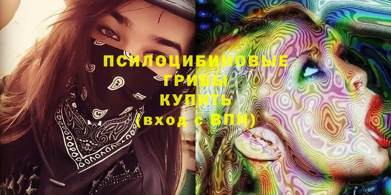 Псилоцибиновые грибы ЛСД  площадка официальный сайт  Куртамыш 